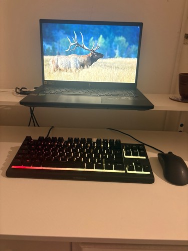 Acer nitro 6in ryzen 7 - 15,